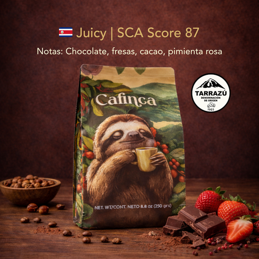 250 g Tarrazú Juicy | SCA Score 87