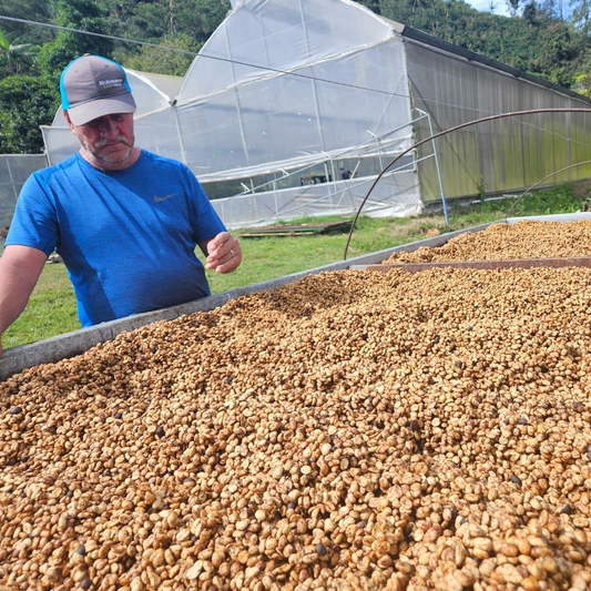 Viviendo la experiencia cafetalera