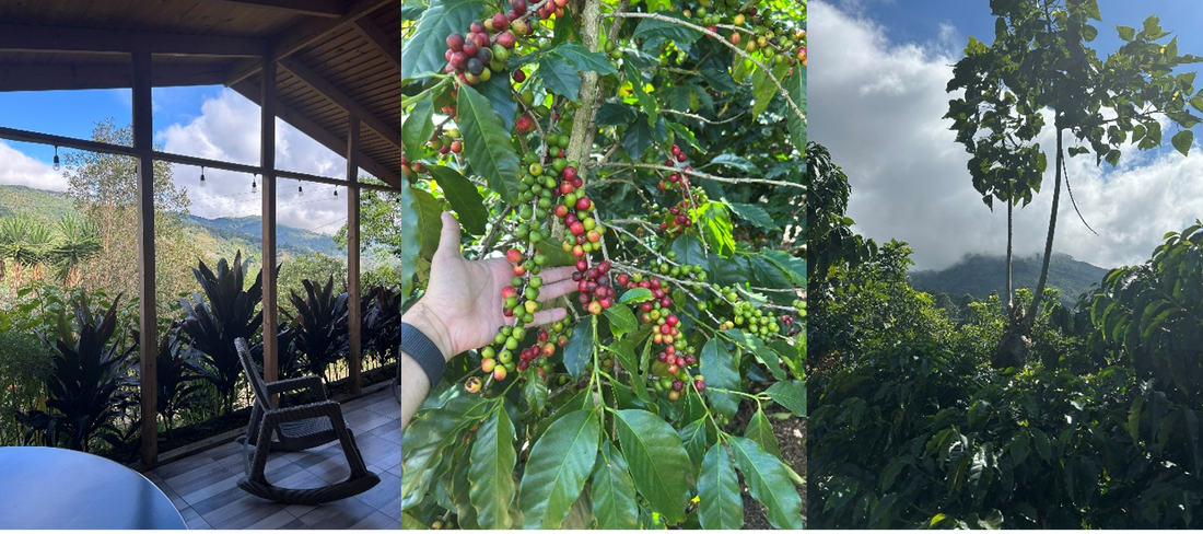 Explorando Tarrazú, Costa Rica