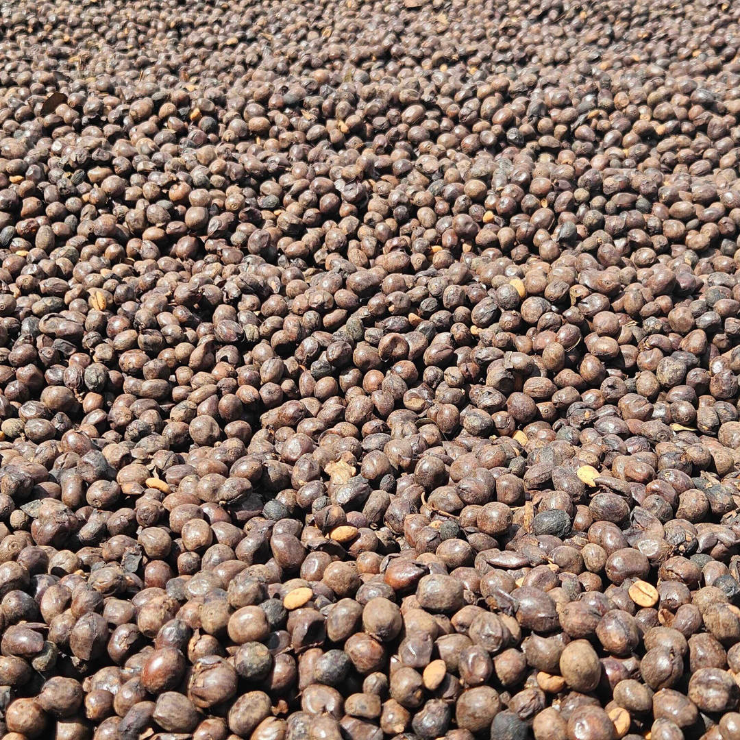 250 g Café de Costa Rica Proceso Natural