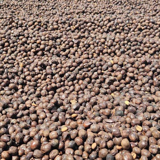 250 g Café de Costa Rica Proceso Natural