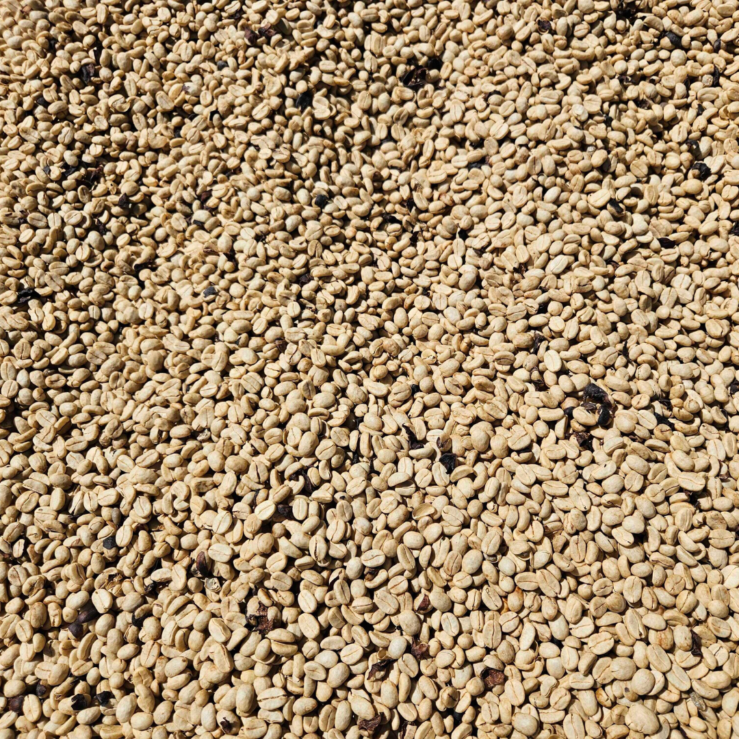 250 g Café de Costa Rica Proceso Lavado
