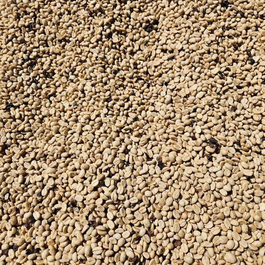 250 g Café de Costa Rica Proceso Lavado