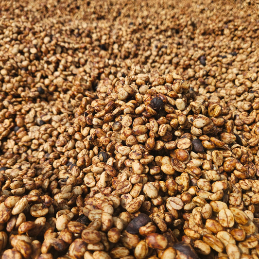 250 g Café de Costa Rica Proceso Honey