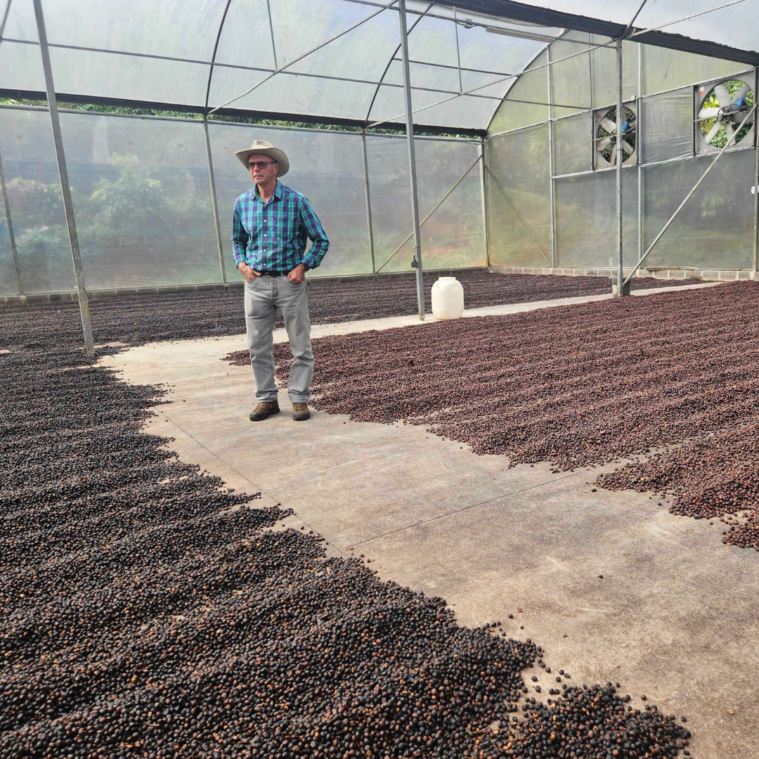 250 g Café de Costa Rica Proceso Natural