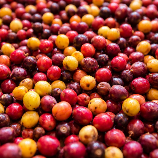 250 g Tarrazú Juicy | SCA Score 87