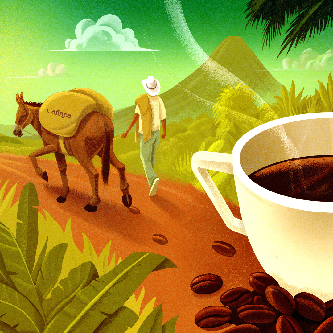 the road of coffee by Marco Melgrati